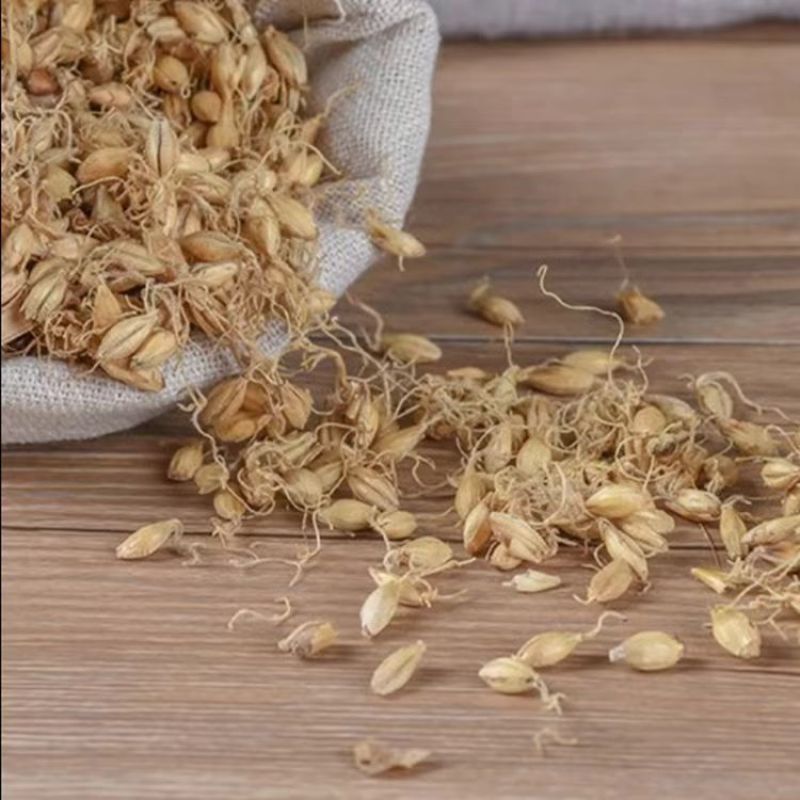 生麦芽中药材炒麦芽无硫***麦芽康养斋中药材