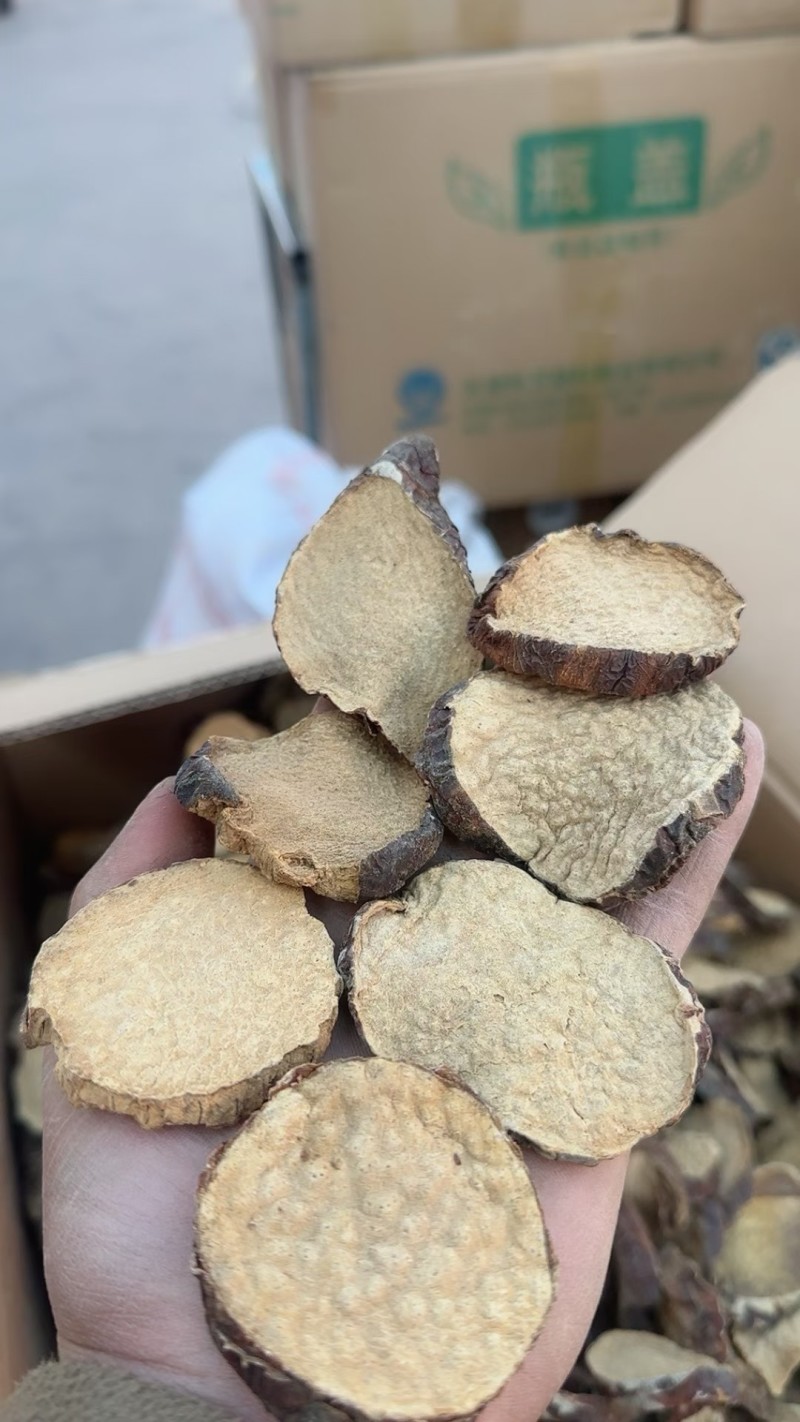 稳定供货和田沙漠肉苁蓉切片硬大运切片干净