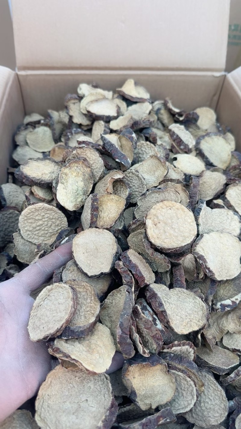 稳定供货和田沙漠肉苁蓉切片硬大运切片干净