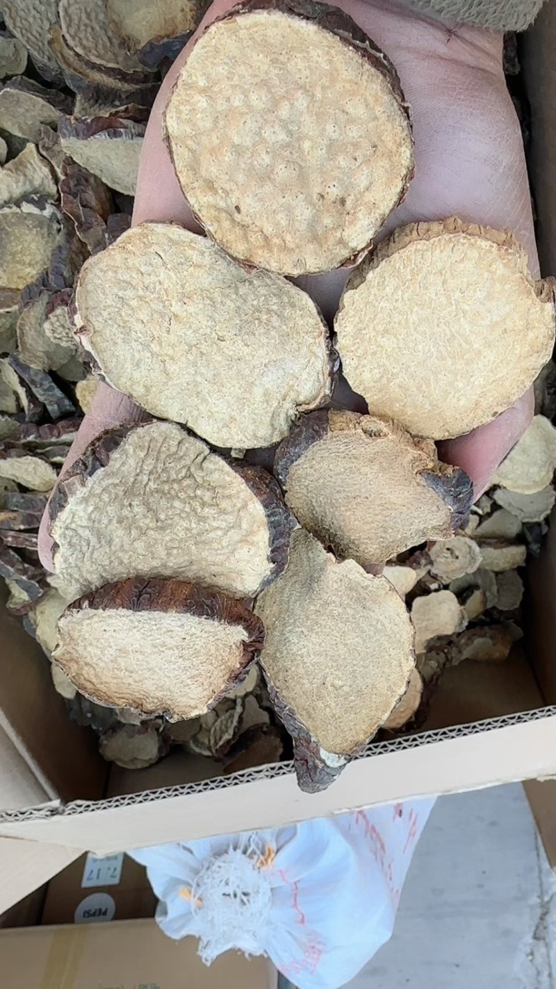 稳定供货和田沙漠肉苁蓉切片硬大运切片干净
