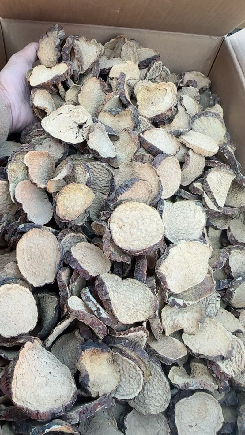 稳定供货和田沙漠肉苁蓉切片硬大运切片干净