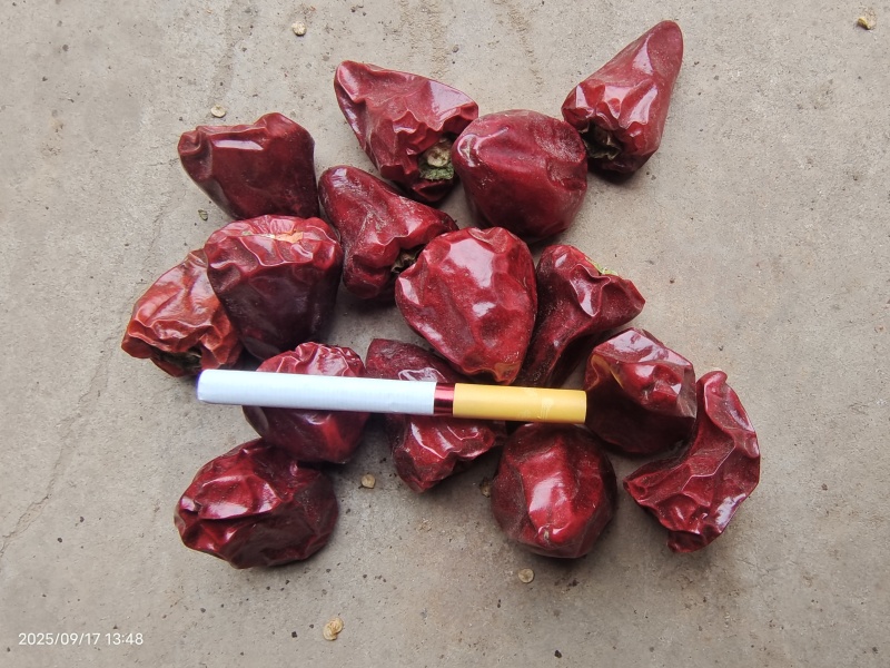 烘干草莓椒干辣椒大量供应可视频看货全年有货全国发