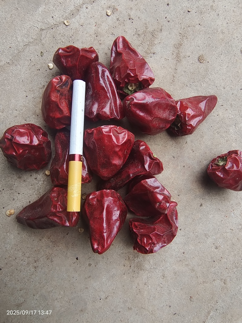 烘干草莓椒干辣椒大量供应可视频看货全年有货全国发