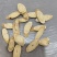 精品黄芪野生黄芪各种规格，需要的老板可以直接下单哦
