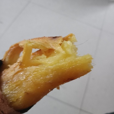 红瑶榴莲蜜薯大量供应