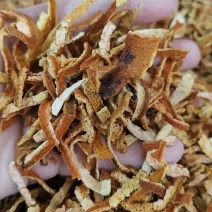 中药材陈皮颜色好看规格齐全批发零售量大从优
