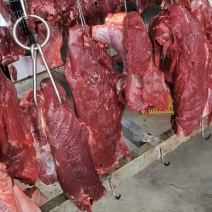 广西热鲜牛肉鲜冻牛肉