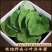 【淫羊藿】甘肃产地淫羊藿/保真保质量/诚信为本/