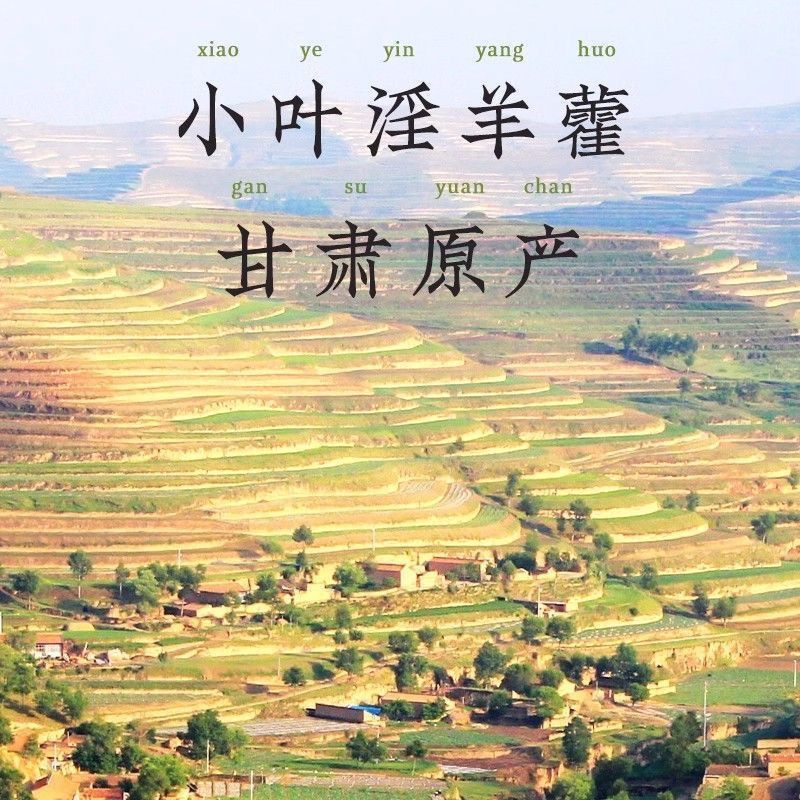 【淫羊藿】甘肃产地淫羊藿/保真保质量/诚信为本/