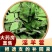 【淫羊藿】甘肃产地淫羊藿/保真保质量/诚信为本/