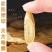 【黄芪】甘肃产地黄芪/品质保证/供货批发零售/合作共赢
