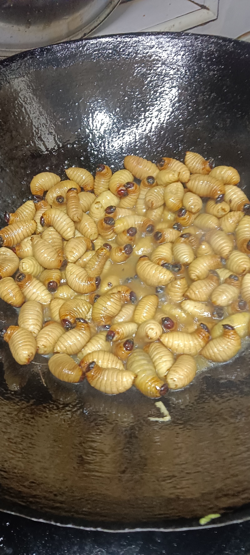 高蛋白竹虫