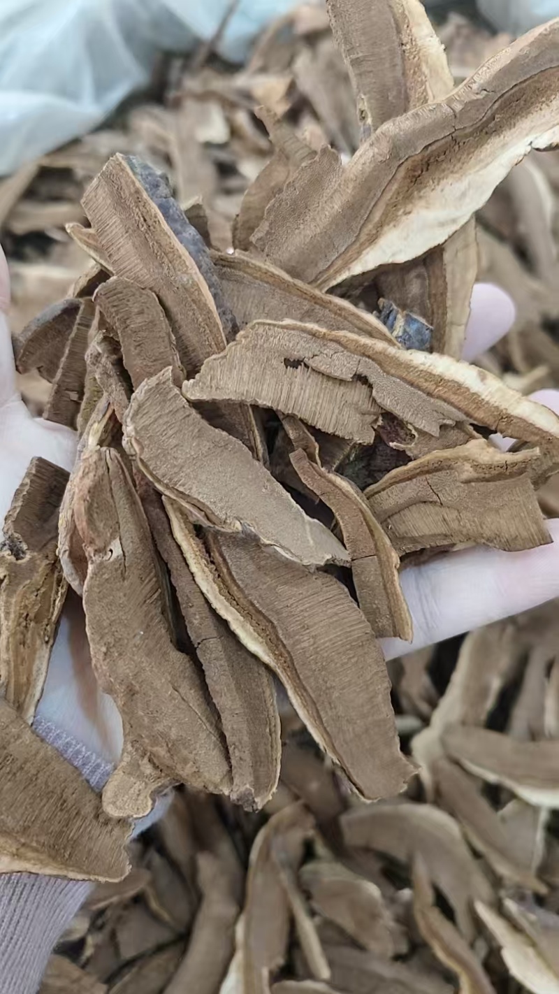 灵芝，赤灵芝，灵芝片赤灵芝个，各种规格产地直发，