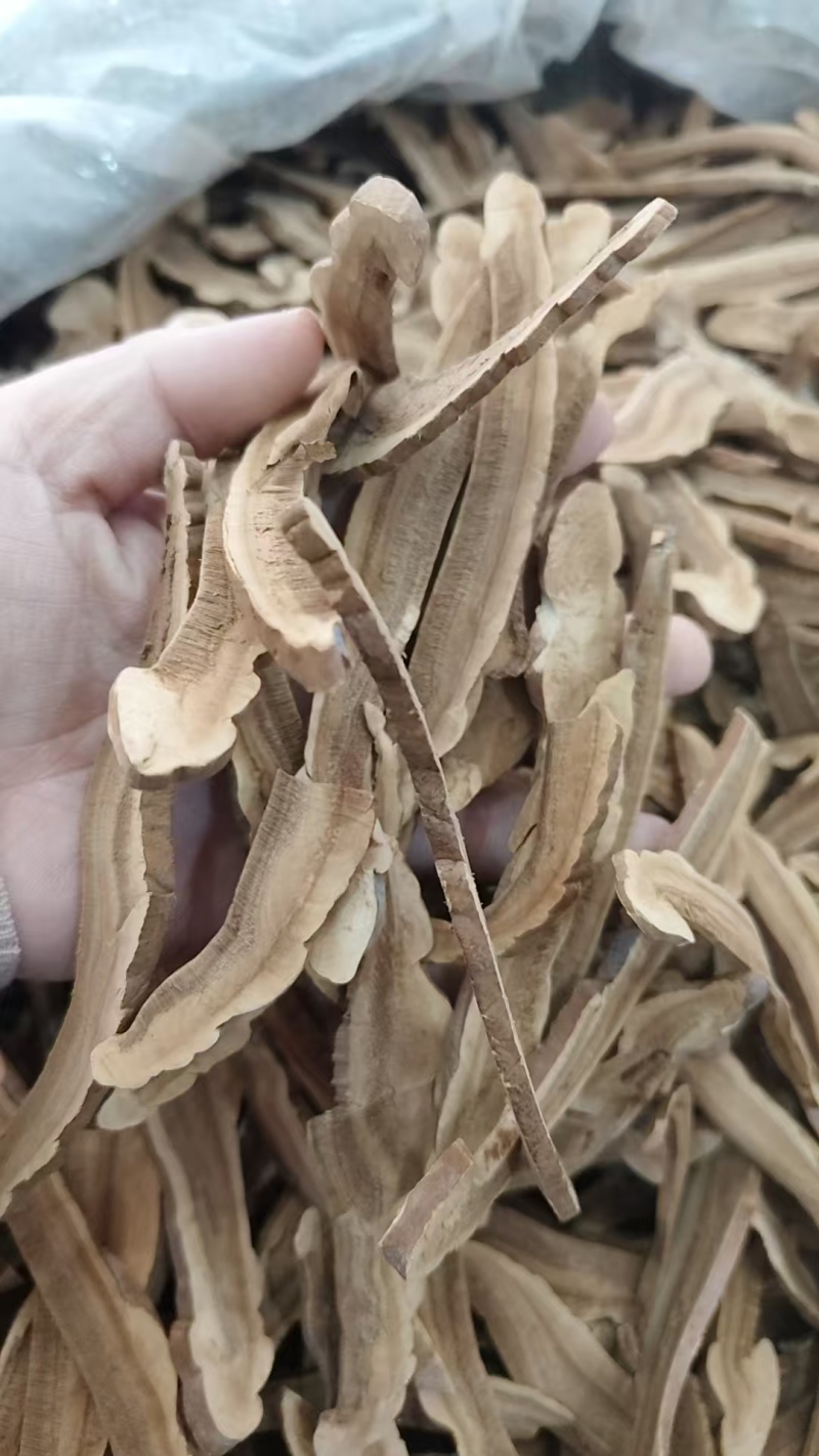 灵芝，赤灵芝，灵芝片赤灵芝个，各种规格产地直发，