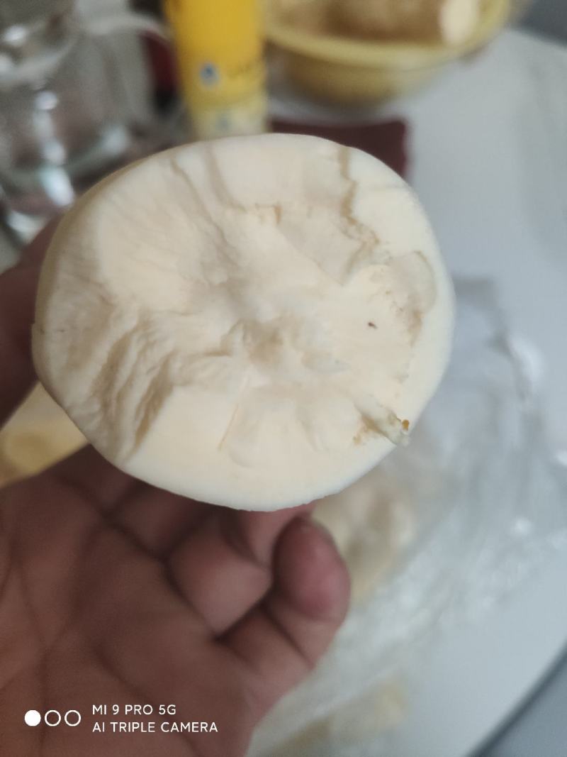 华南九号/产地黄肉木薯