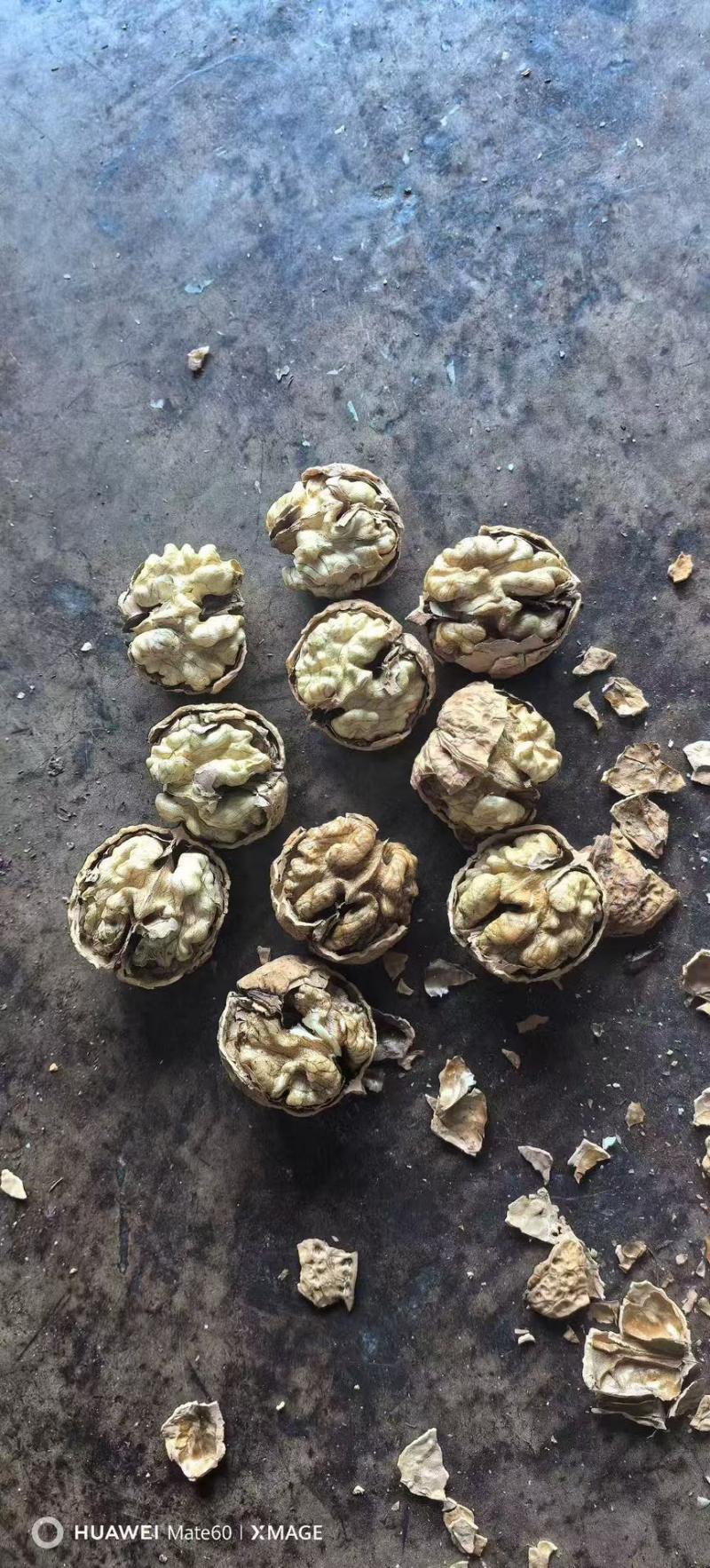 麻子果10个核桃8个白今年新货.地摊电商都有