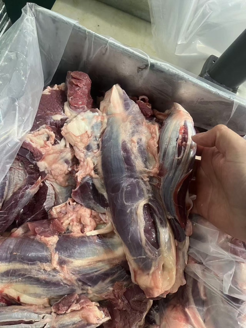牛腱子.前后混装.精修了