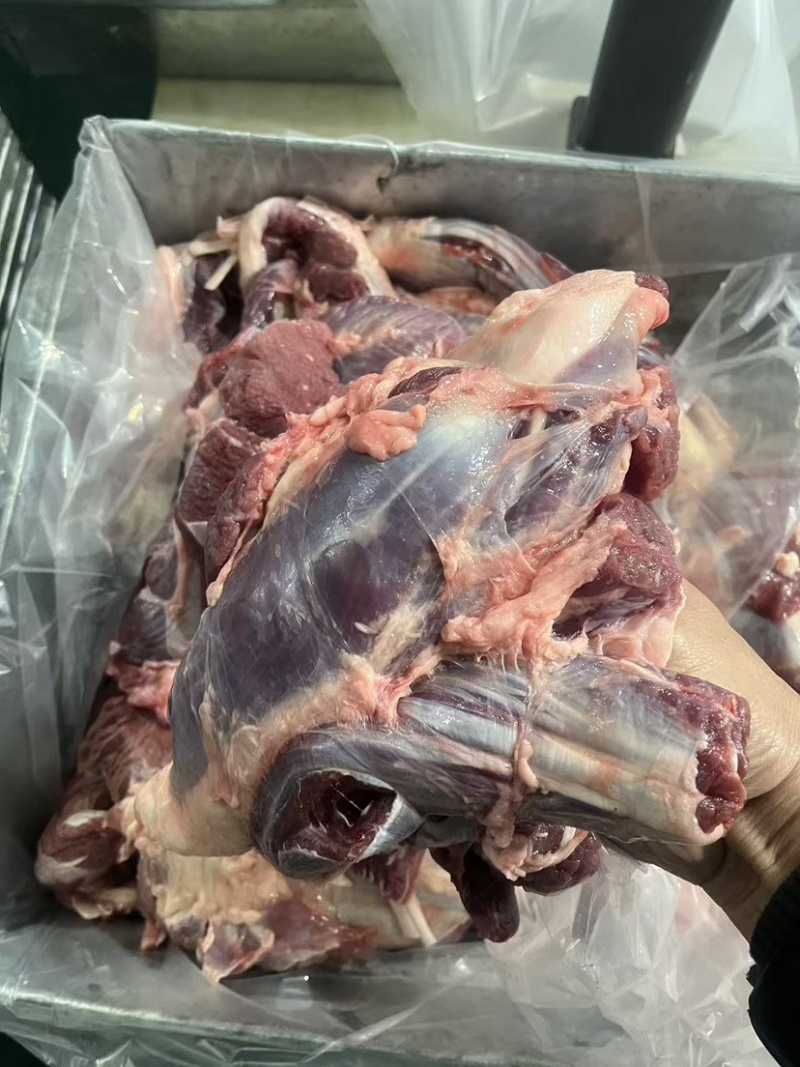 牛腱子.前后混装.精修了