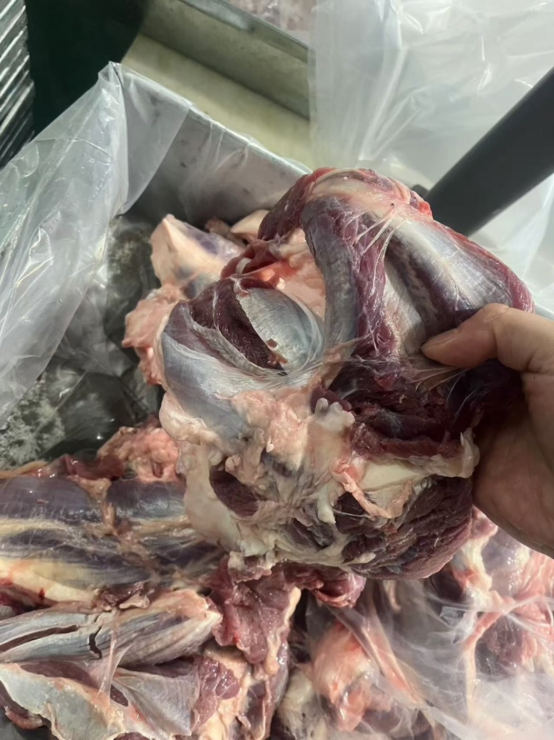 牛腱子.前后混装.精修了