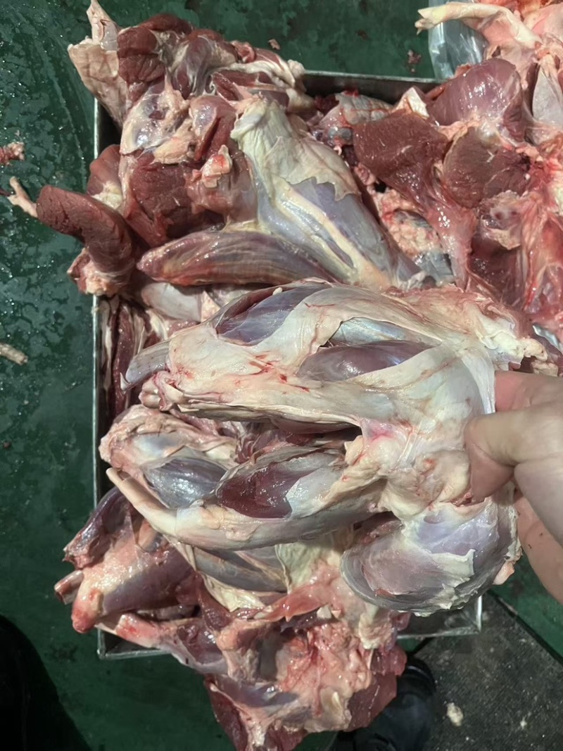牛腱子.前后混装.精修了
