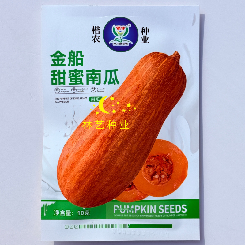 金船甜蜜本南瓜种子中晚熟棒锺形顶端膨大口感细腻味甜蜜本南