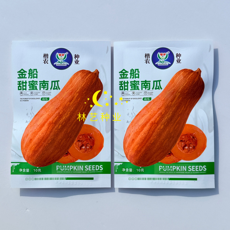 金船甜蜜本南瓜种子中晚熟棒锺形顶端膨大口感细腻味甜蜜本南
