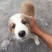 自家养殖