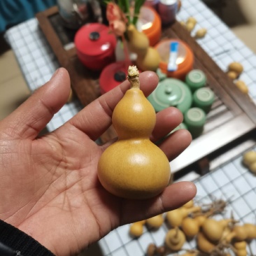 小美葫芦通货