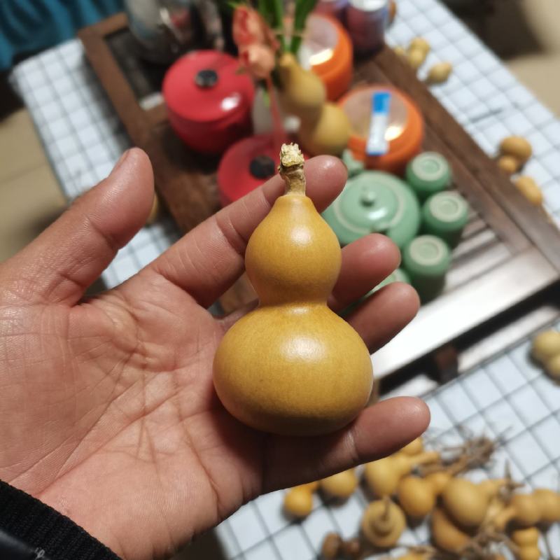 小美葫芦通货
