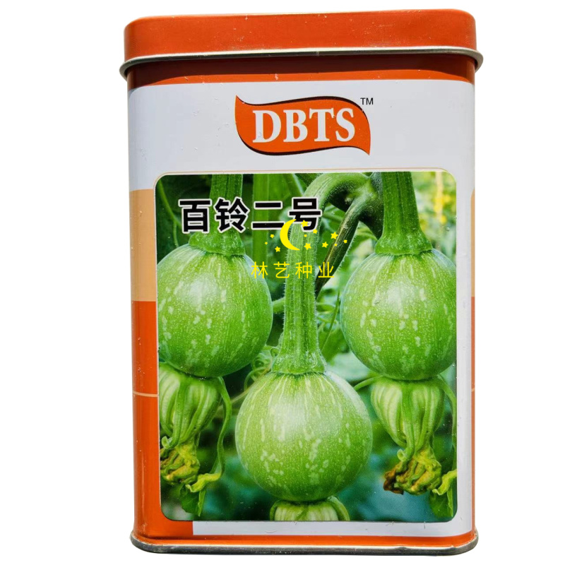 百铃二号嫩南瓜种子春秋播露地大棚高圆型南瓜种籽口感甜脆