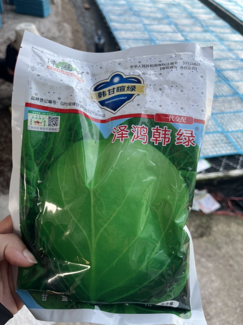 正宗原包装泽鸿韩绿甘蓝苗松软型种植可直接咨询客服
