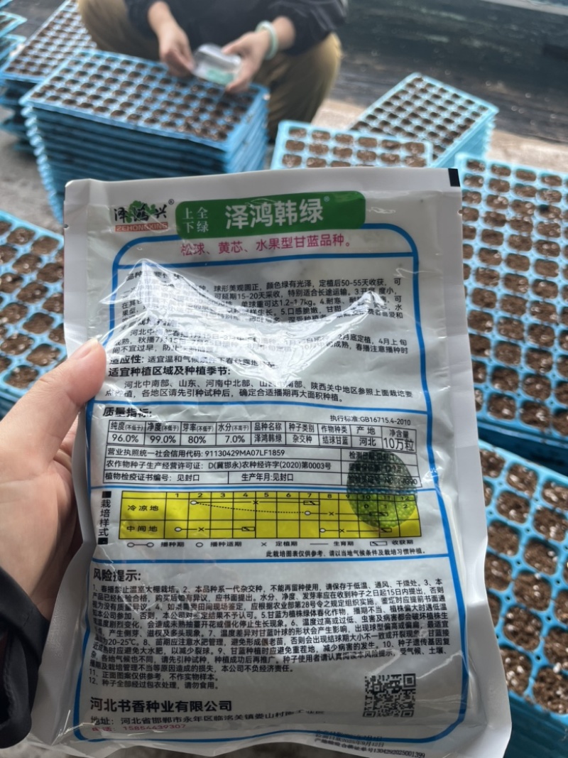 正宗原包装泽鸿韩绿甘蓝苗松软型种植可直接咨询客服