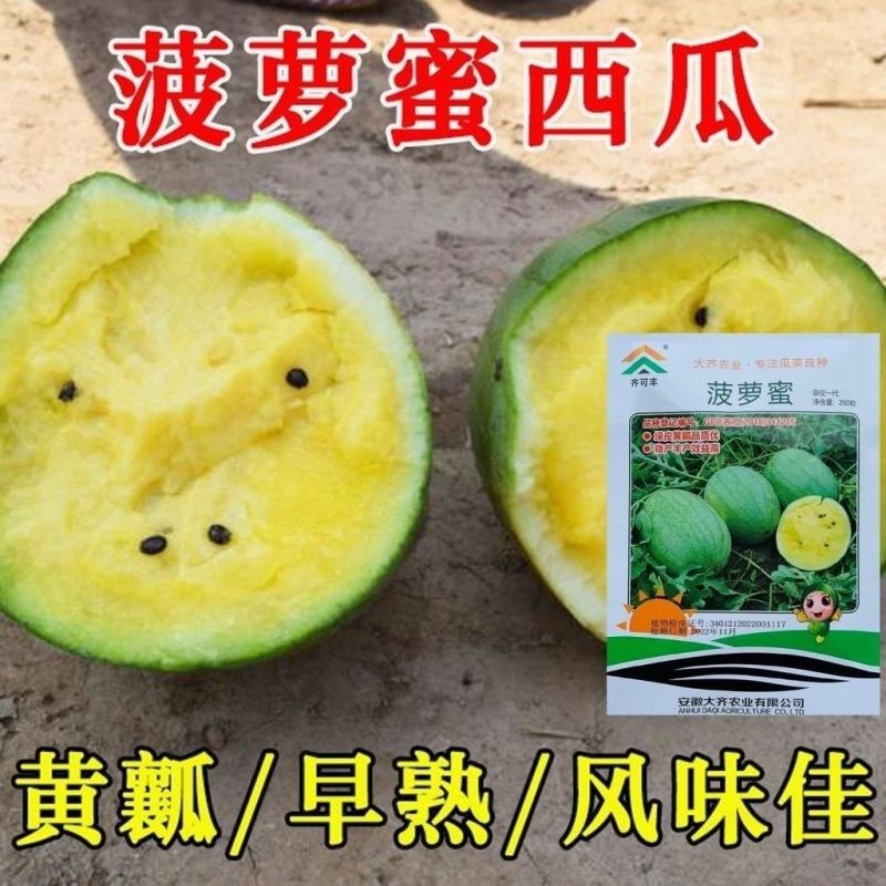 西瓜种子菠萝蜜精品黄瓤西瓜极早熟高糖口感香甜风味佳黄瓤西