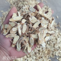 黄芪规格齐全全面大货供应量大从优