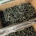 烘干海带结，颜色翠绿，厚结，欢迎新老客户来电