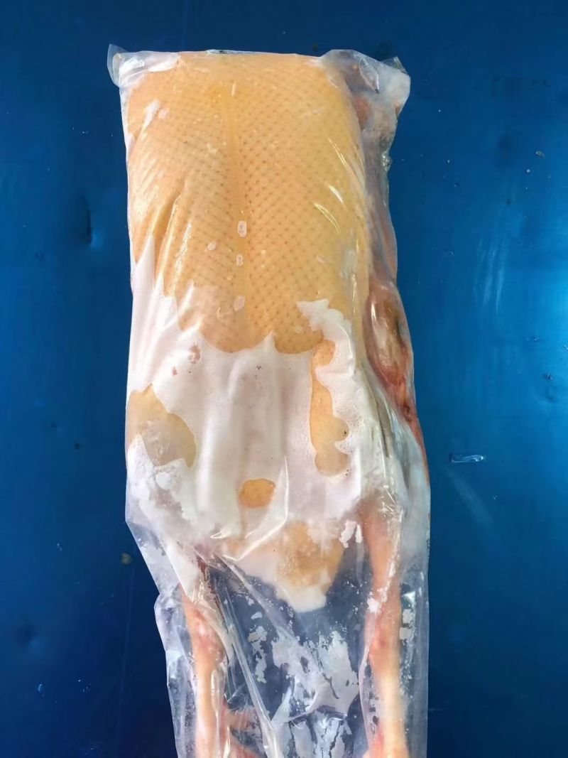 黄皮鸭