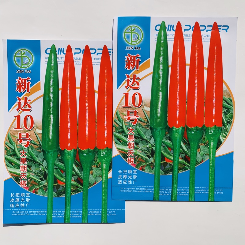 新达10号大果朝天椒种子中晚熟椒形光滑顺直油亮皮厚硬度好
