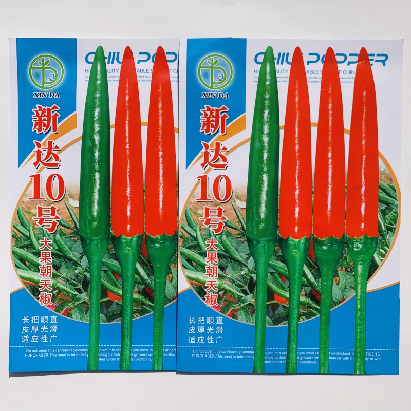 新达10号大果朝天椒种子中晚熟椒形光滑顺直油亮皮厚硬度好