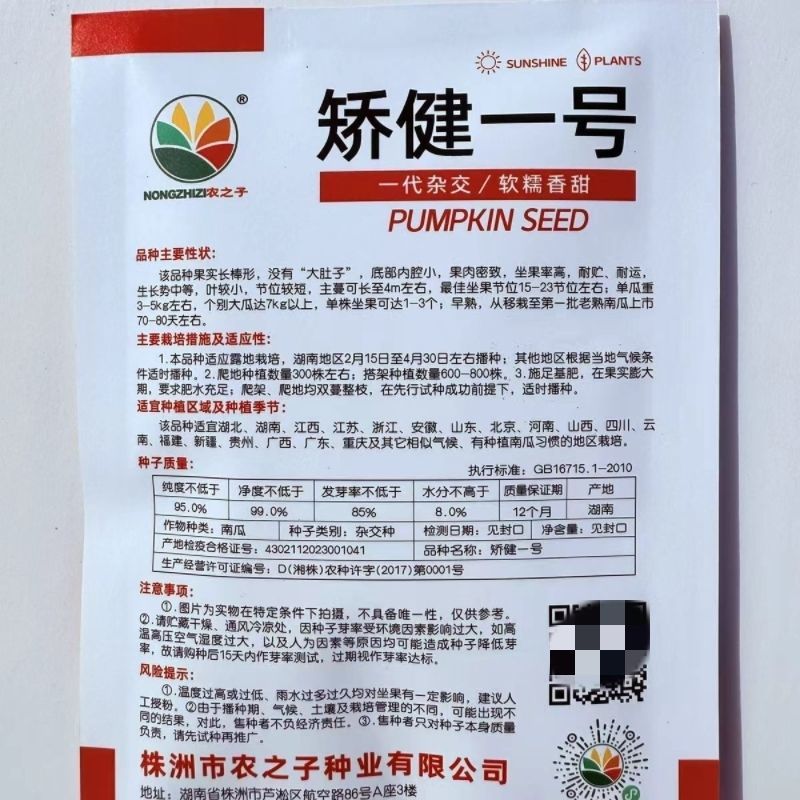 矫健一号杂交长棒型南瓜种子内腔小果肉紧密口感甜糯耐储运