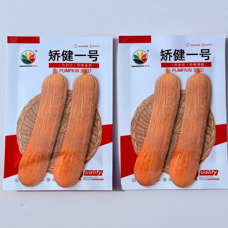 矫健一号杂交长棒型南瓜种子内腔小果肉紧密口感甜糯耐储运