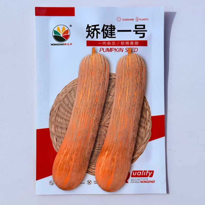 矫健一号杂交长棒型南瓜种子内腔小果肉紧密口感甜糯耐储运
