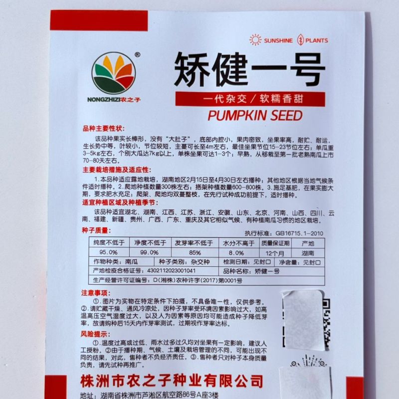 矫健一号杂交长棒型南瓜种子内腔小果肉紧密口感甜糯耐储运