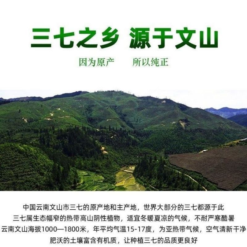 云南三七粉,一盒500克,一单一盒,两盒送一个手提袋,