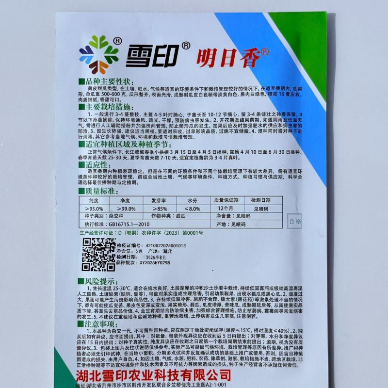 雪印明日香白皮甜瓜种子口感好薄皮香甜高产抗病商品佳