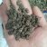 猫爪草产地直供小颗粒中颗粒大颗粒