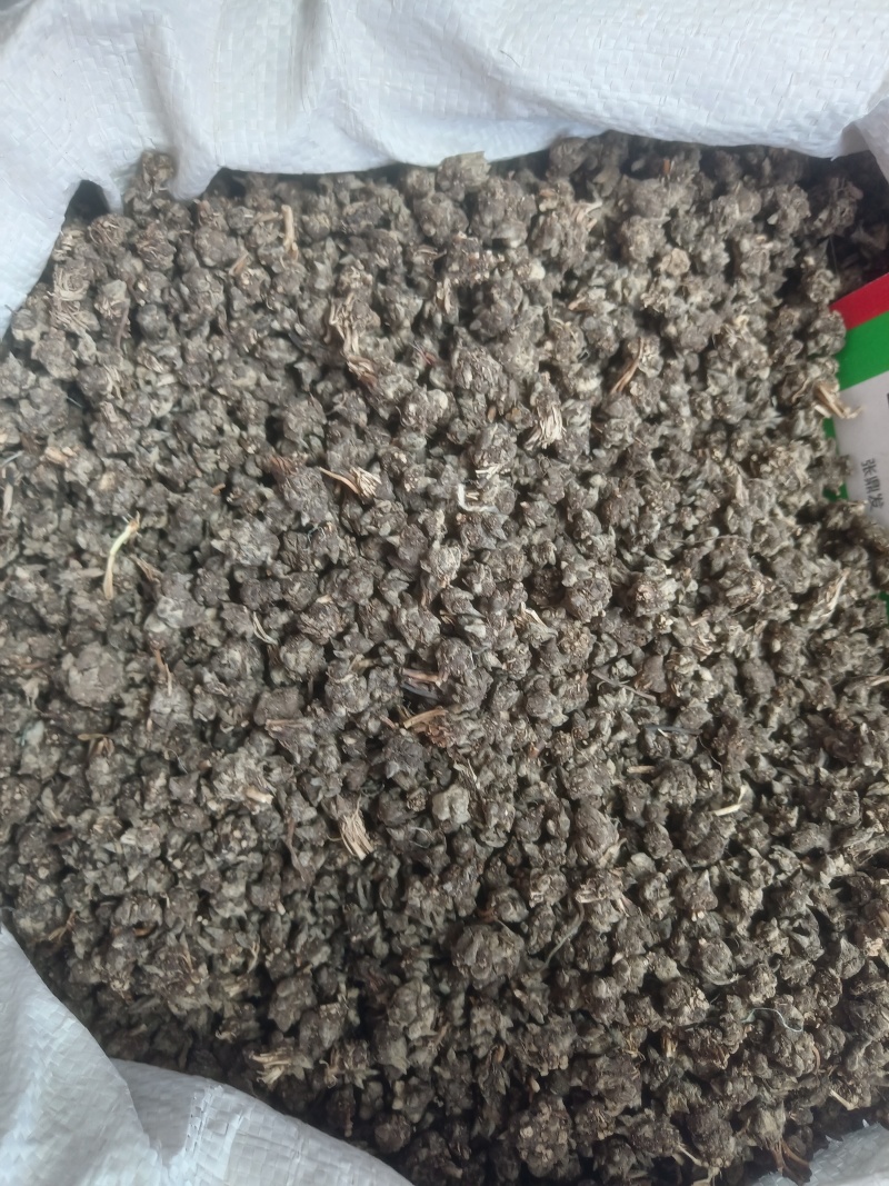 猫爪草产地直供小颗粒中颗粒大颗粒