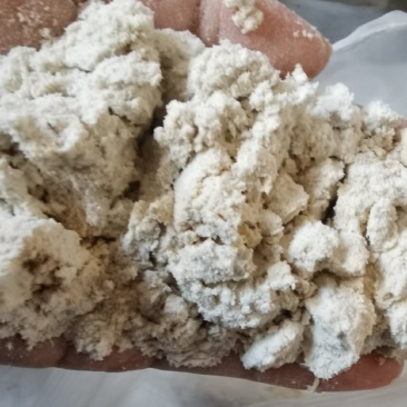 玉米油渣粉