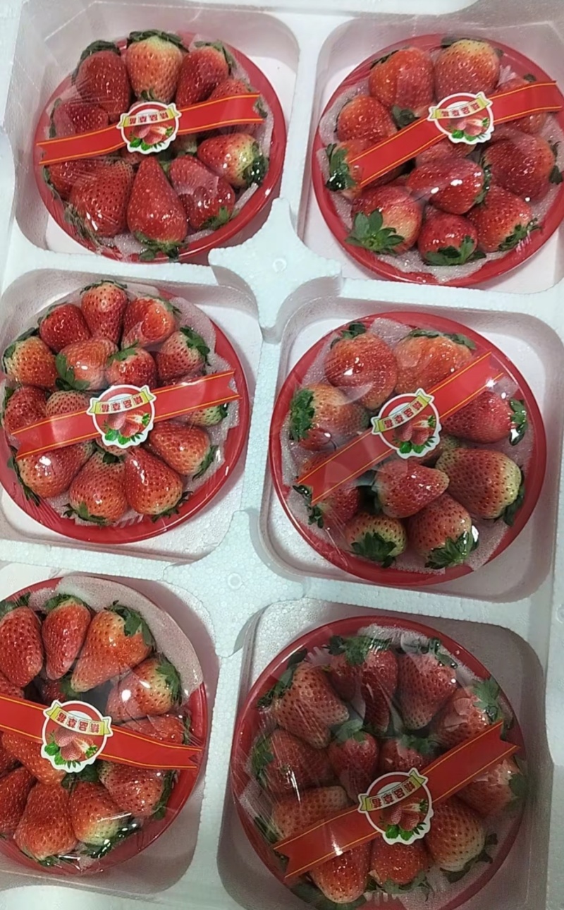 安徽阜阳天仙醉草莓
