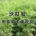 新采集沙打旺种子多年生品种防沙固土护坡耐寒耐旱