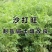 新采集沙打旺种子多年生品种防沙固土护坡耐寒耐旱